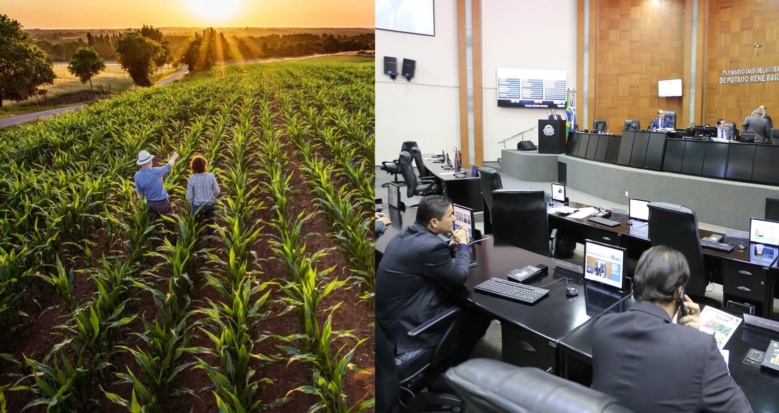 Produtores rurais e entidades terão mais espaço na ALMT com a criação da nova Frente Parlamentar da Agropecuária