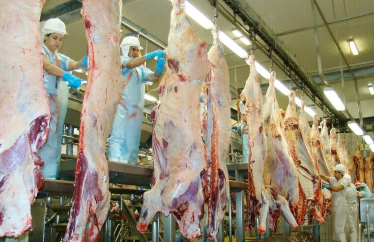 Abate de gado cai 11,27% em Mato Grosso