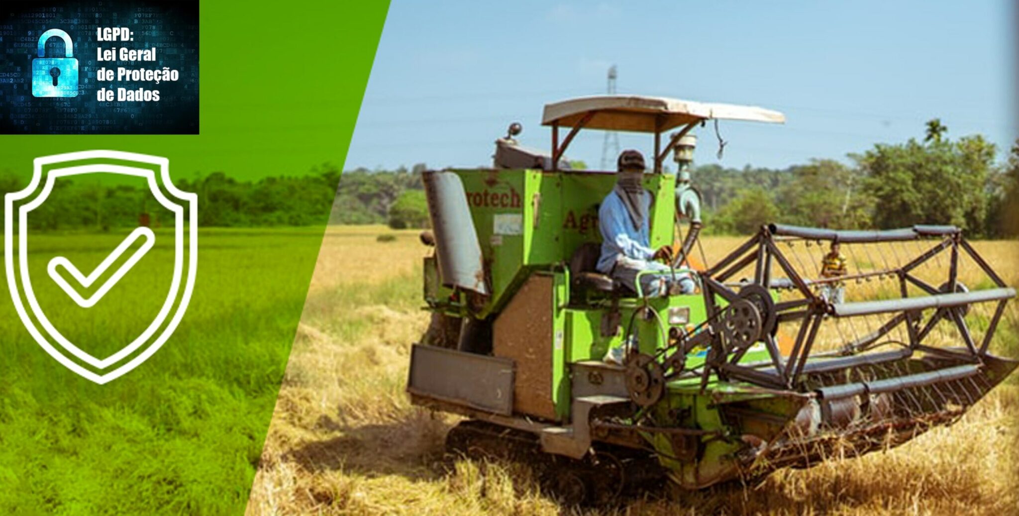 Setor do agronegócio precisa investir em proteção de dados de clientes