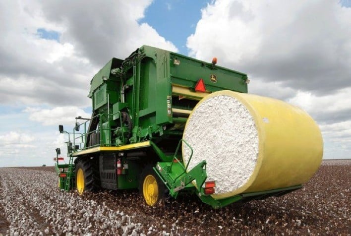 Preço do algodão recua e ritmo da colheita está mais lento em Mato Grosso
