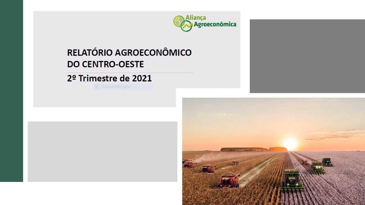 Plano Agrícola e Pecuário é destaque no relatório da Aliança Agroeconômica