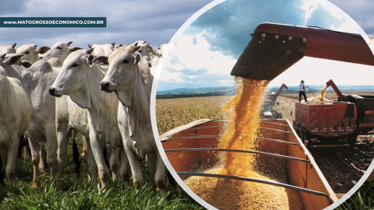 Apesar da incerteza da retomada da economia, Valor Bruto de Produção de Mato Grosso registra melhora
