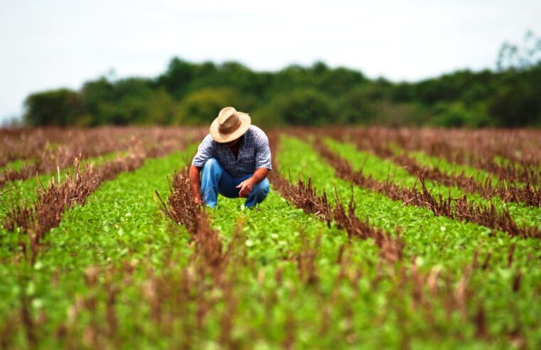 Inadimplência do produtor rural de Mato Grosso é menor que da população geral