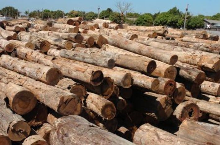Exportações de produtos madeireiros de Mato Grosso crescem 32% e movimentam US$ 9,7 milhões