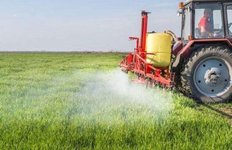 Gastos com fertilizantes devem ser 50% maior e impactar produtores de soja e milho