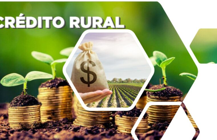 Contratação do crédito rural tem alta de 36% e ultrapassa R$ 64 bi
