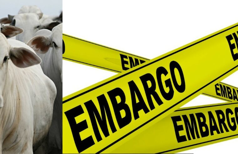 Auto embargo de carne à China decorrente da Vaca Louca deve ser suspenso em breve