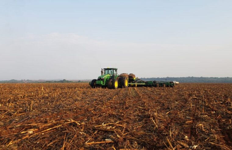Com MT e PR engrenados, plantio de soja vai a 10% no Brasil