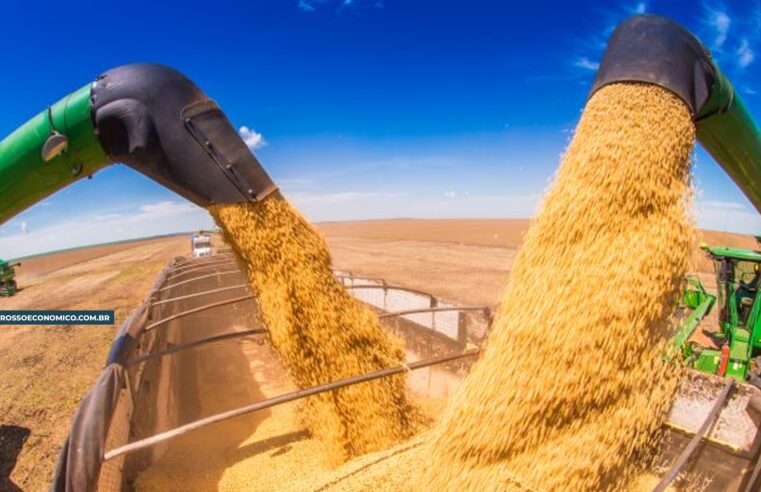 Fazendas de MT, RO e PA formam região com maior produção de soja certificada do Brasil