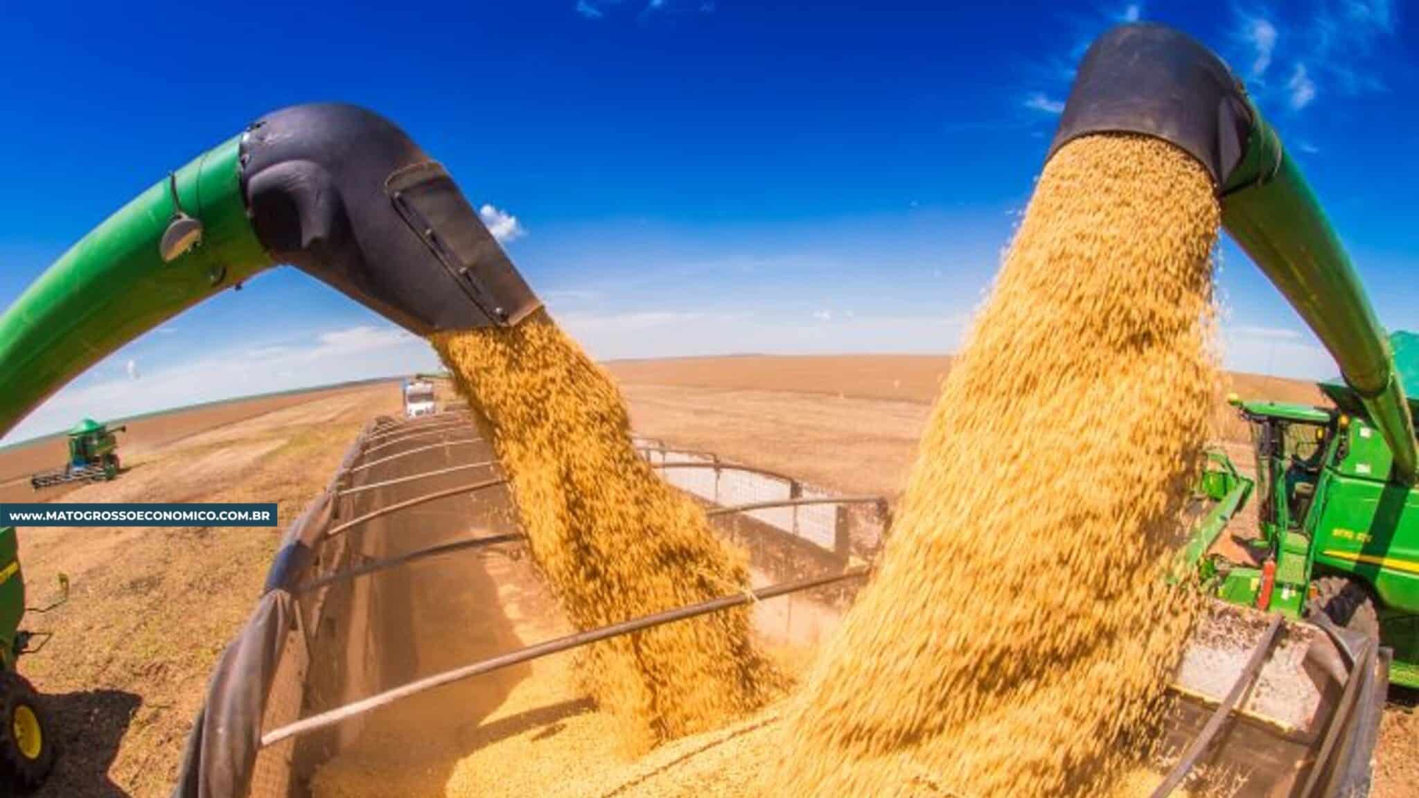 Fazendas de MT, RO e PA formam região com maior produção de soja certificada do Brasil