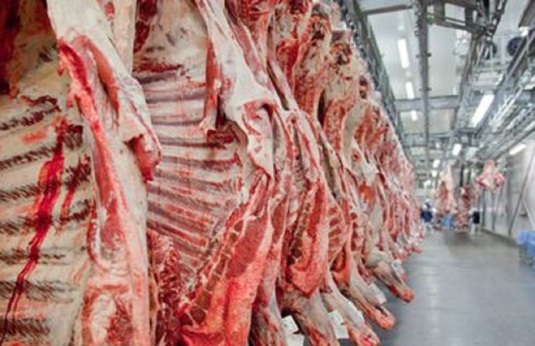 Efeito China derruba receita da carne mato-grossense em 57%, em outubro