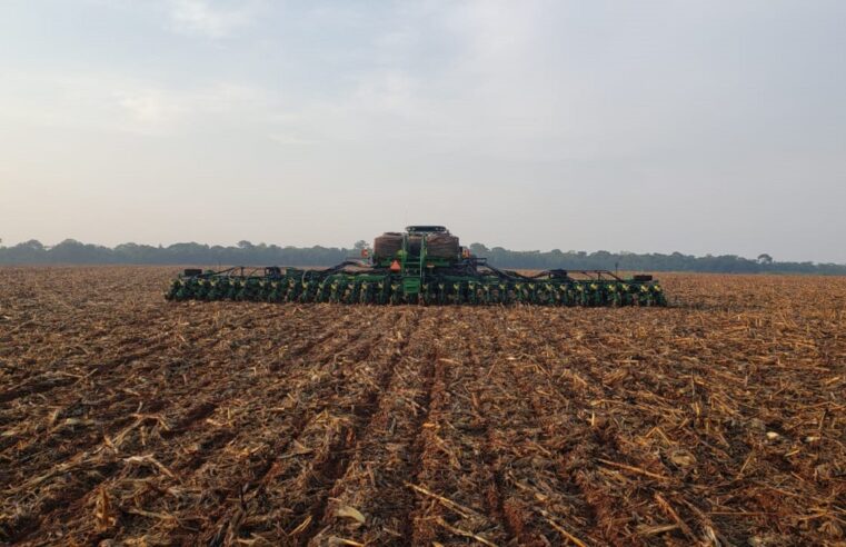 Plantio de soja entra na reta final, em Mato Grosso