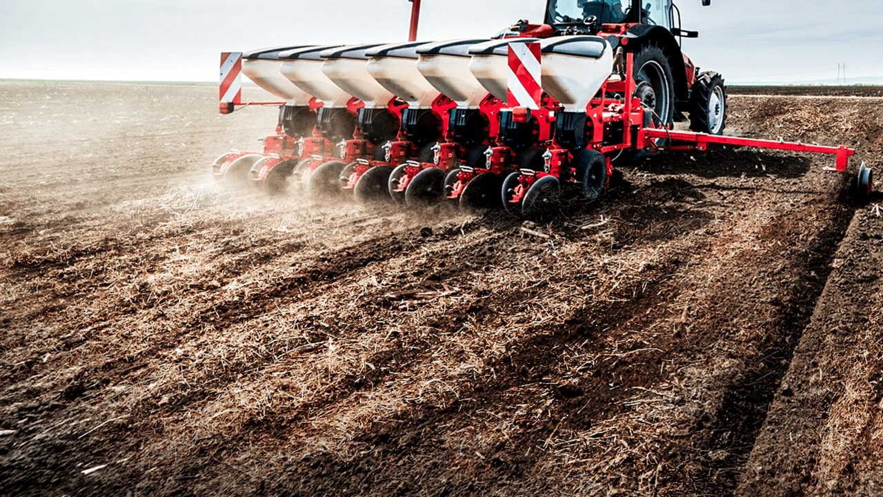 Plantio de soja está 100% finalizado em MT e primeiros hectares devem ser colhidos na semana do Natal