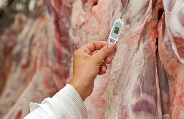 MT deve fechar 2021 com volume recorde nas exportações de carne bovina