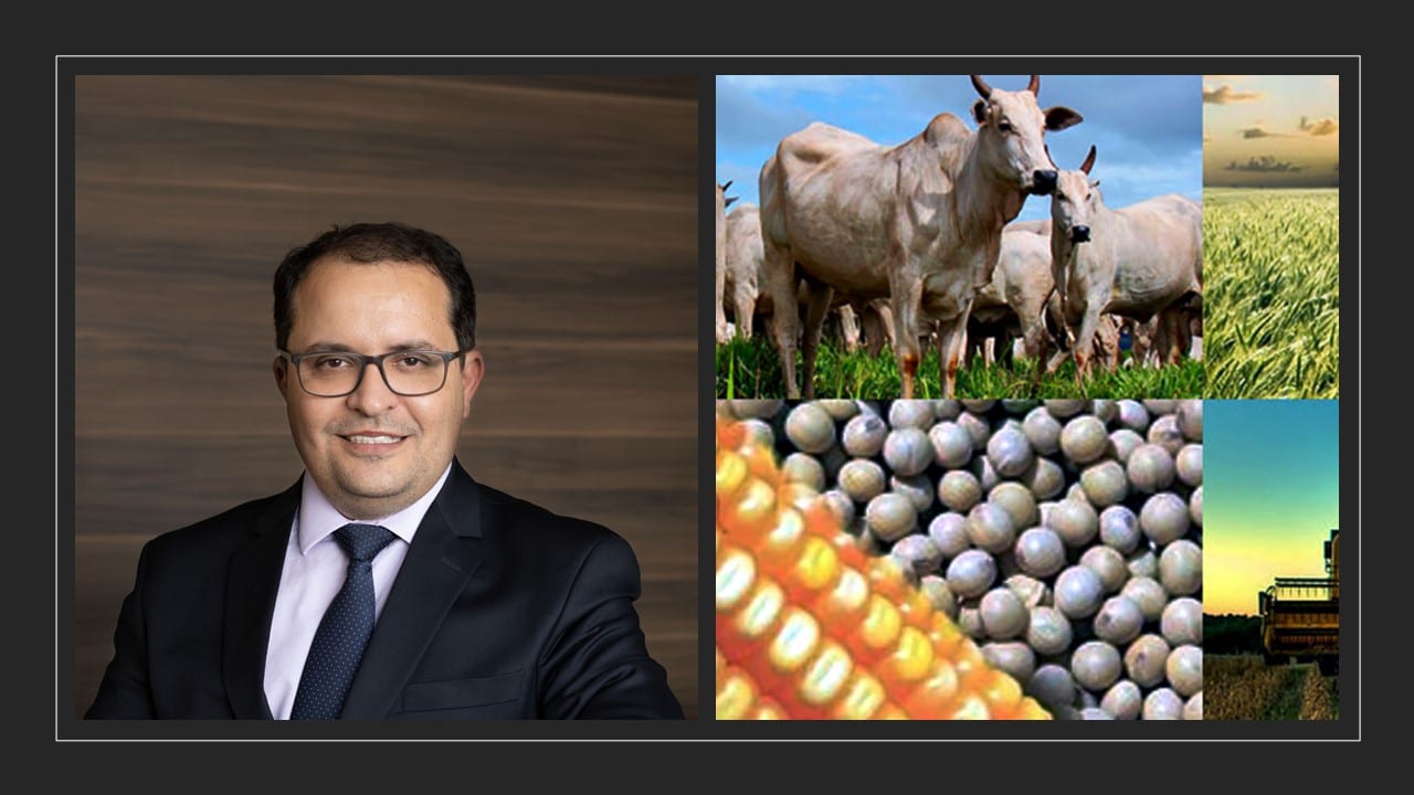 Opinião: Qual seria então o modelo ideal para produzir alimentos saudáveis e em escala global?