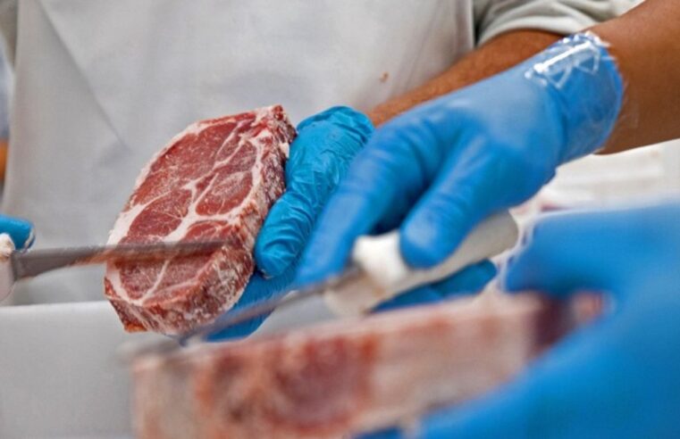 Apesar da queda no volume exportado em 2021, carne bovina de MT registra incremento na receita