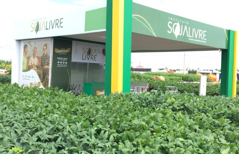 Instituto Soja Livre apresenta variedades de soja convencional em eventos em Mato Grosso
