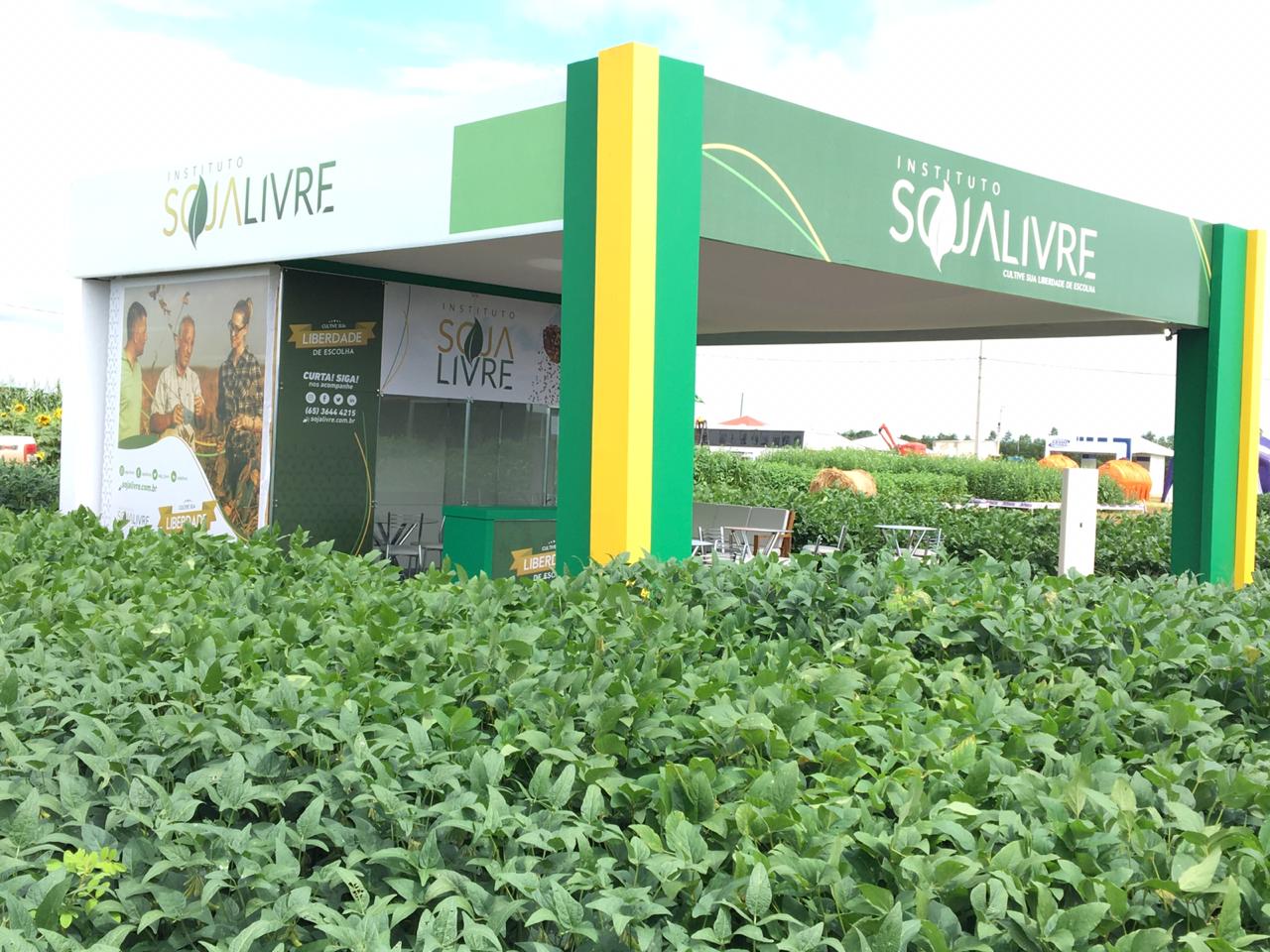 Instituto Soja Livre apresenta variedades de soja convencional em eventos em Mato Grosso