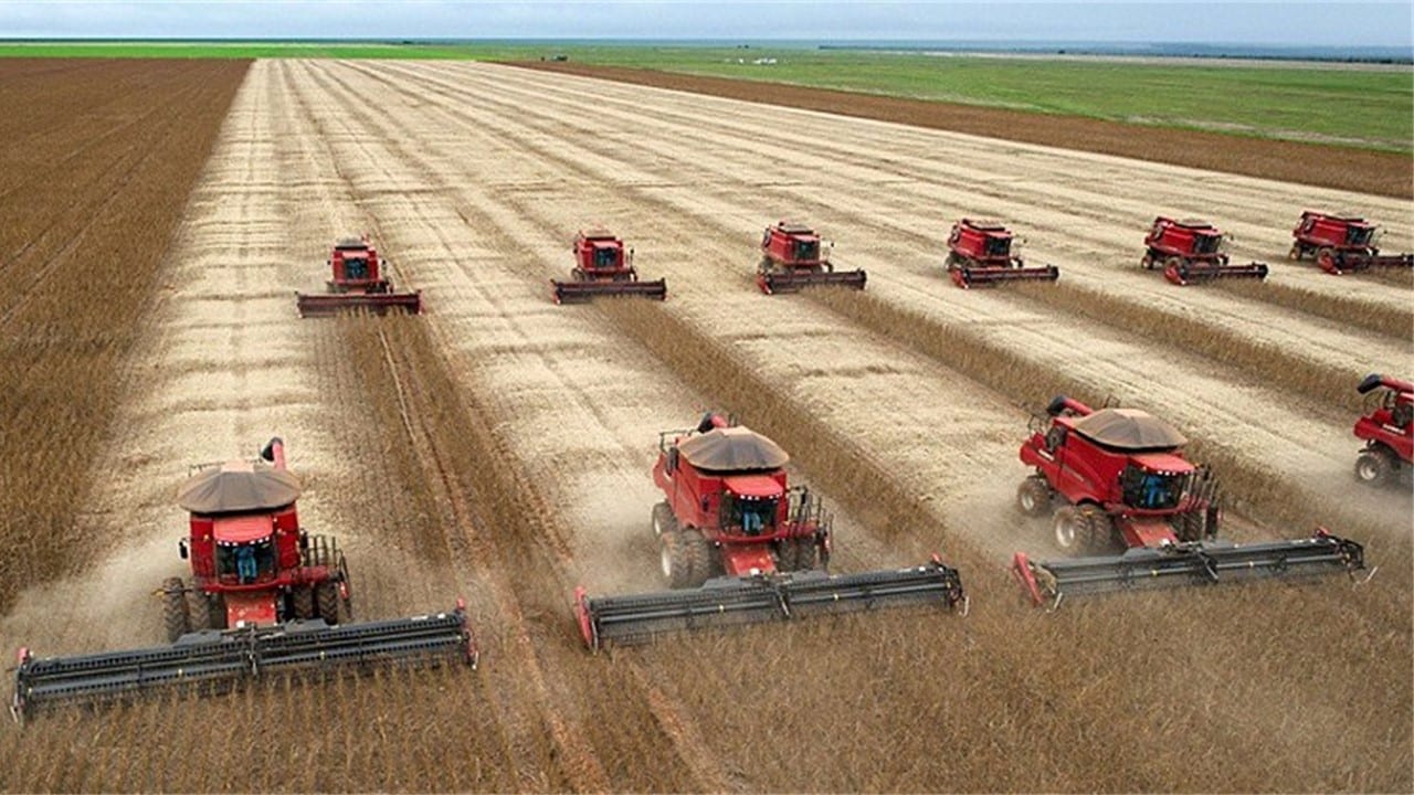 Safra de soja vai se consolidado com recordes de área e produção em MT