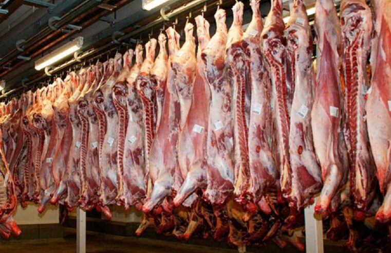 Exportações de carne têm o 3º maior resultado da série histórica mato-grossense
