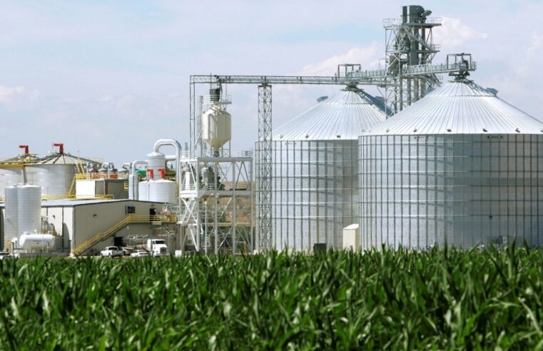 Terceiro na oferta de etanol no País, MT é o único que deve ampliar produção do biocombustível