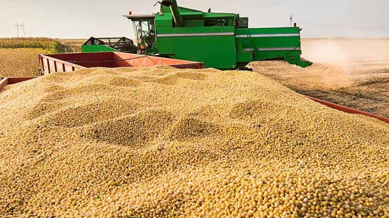 Produção de soja deve ser recorde em Mato Grosso
