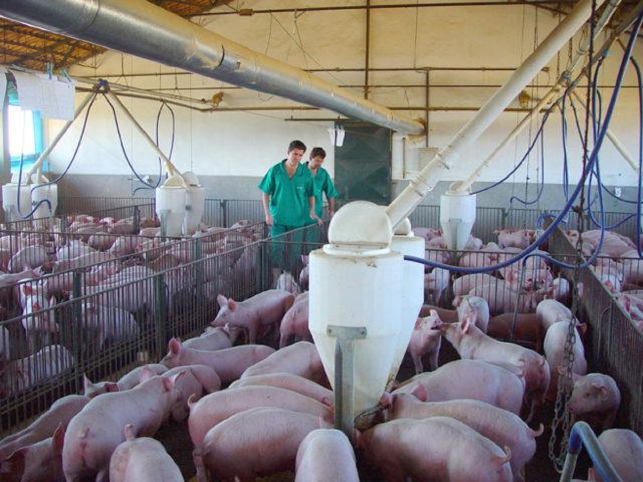 Acrismat se reúne com ministro da Agricultura, Marcos Montes