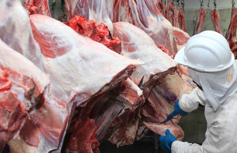 MT registra faturamento recorde com as exportações de carnes bovinas