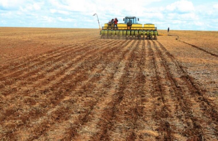 Aprosoja/MT denuncia ‘cartel da indústria’ e aponta alta de 350% sobre preço dos fertilizantes