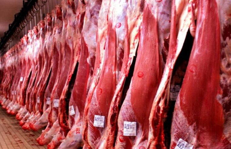 Governo abre diálogo com países europeus sobre exportação da carne mato-grossense