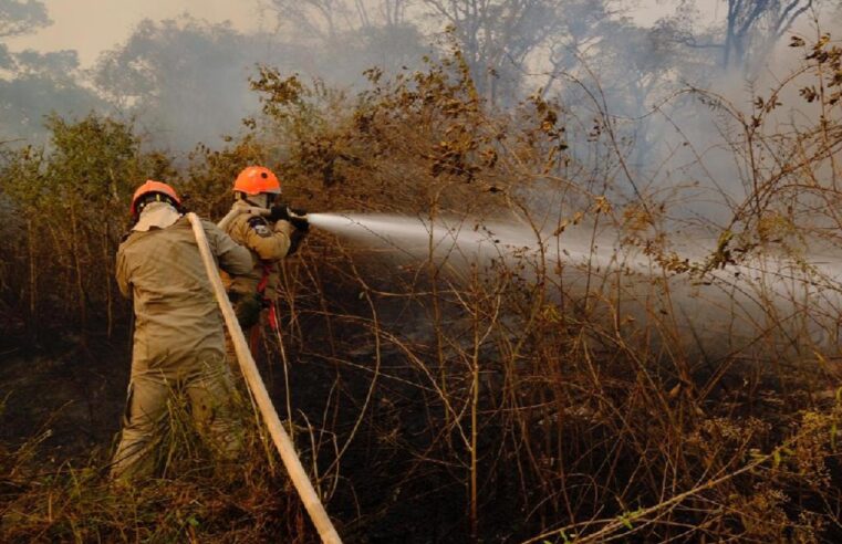 Começa hoje, dia 1º, período proibitivo do fogo em Mato Grosso