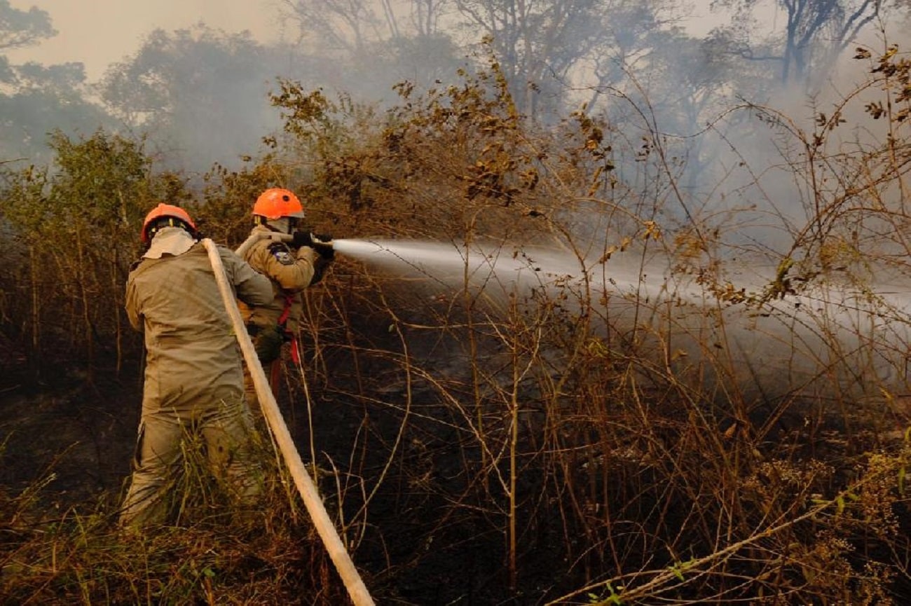 Começa hoje, dia 1º, período proibitivo do fogo em Mato Grosso