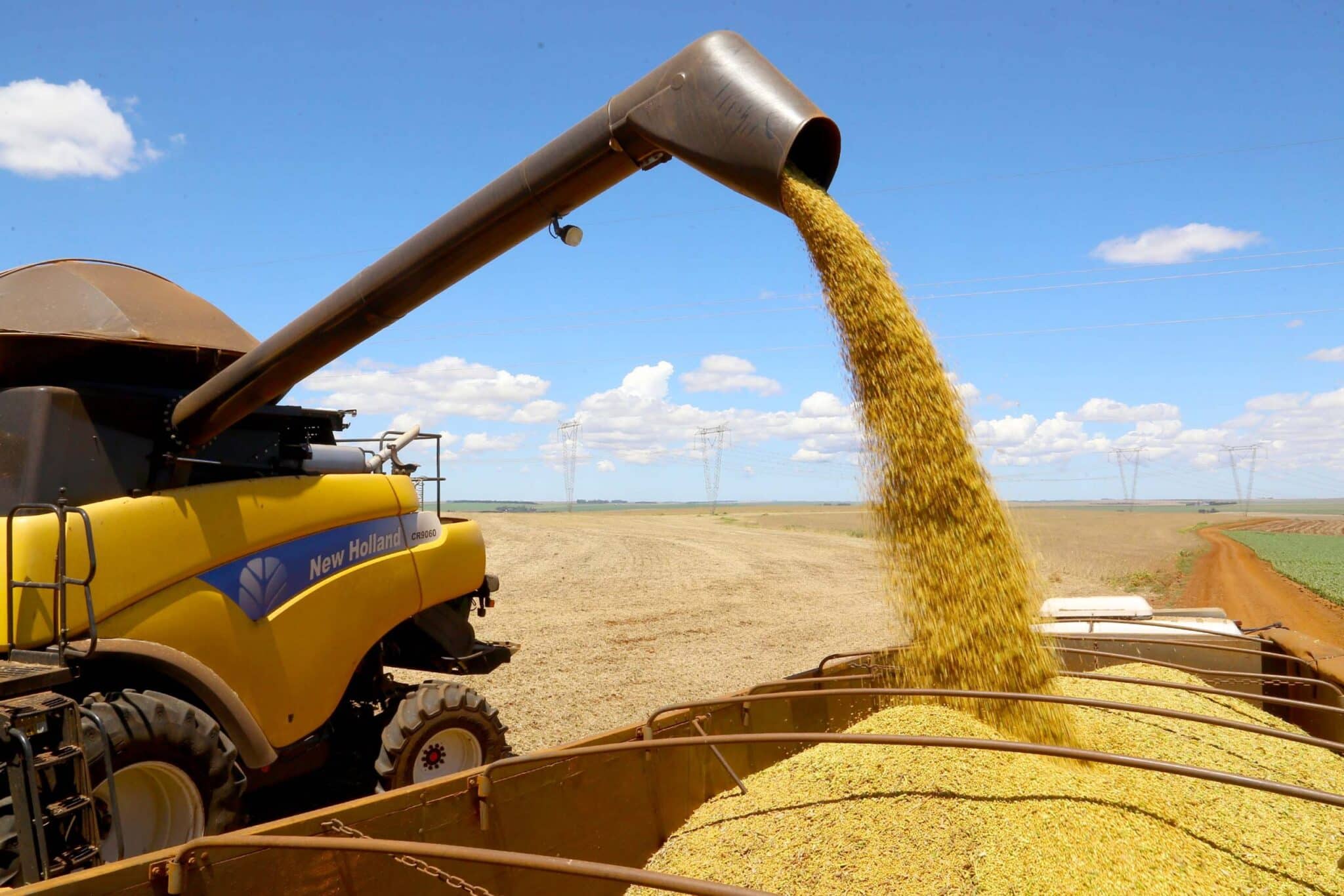 Safra 2021/22 de milho se encerra como a mais avançada dos últimos cinco anos