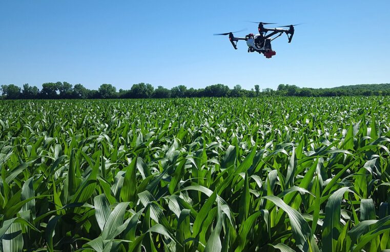 Indea usa drones para combater contagem de rebanho, identificação de plantas e mapeamento de propriedades