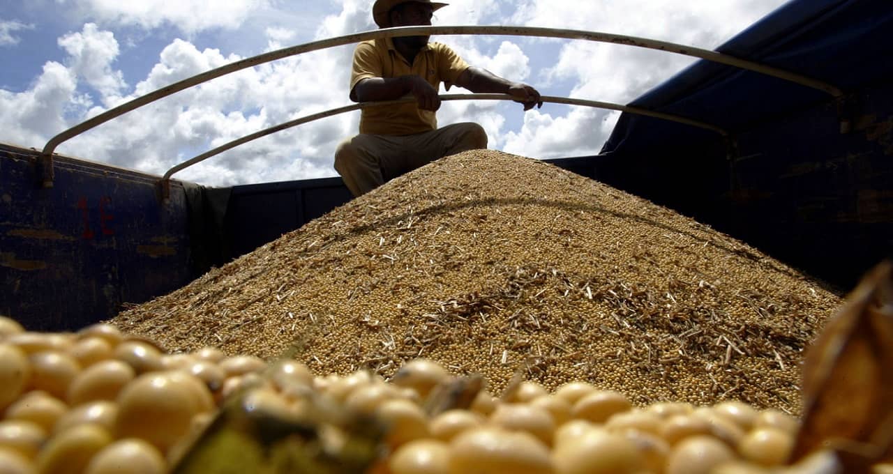 Indústria mato-grossense foi a maior produtora de farelo de soja País