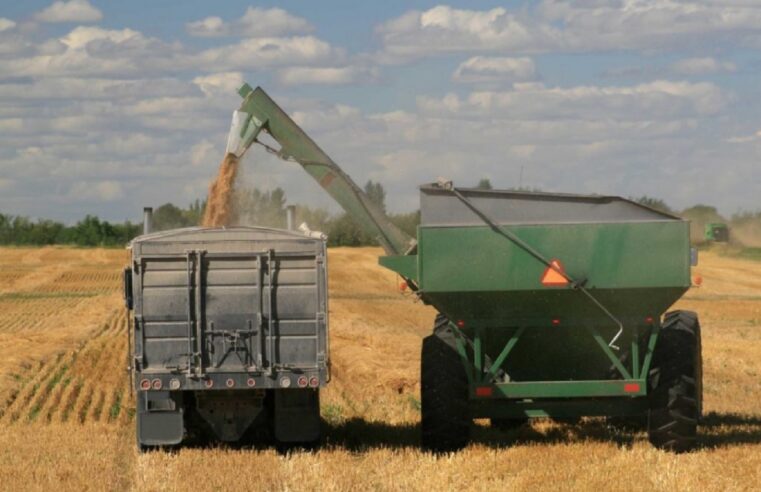Colheita do milho inflaciona fretes em até 100% em MT