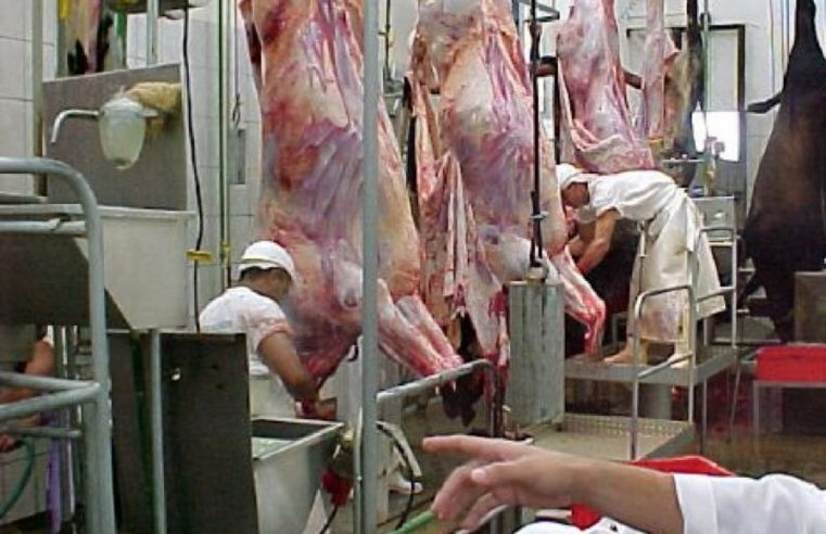 Ação de frigoríficos alonga abates e derruba preços do boi gordo em MT, denuncia Acrimat
