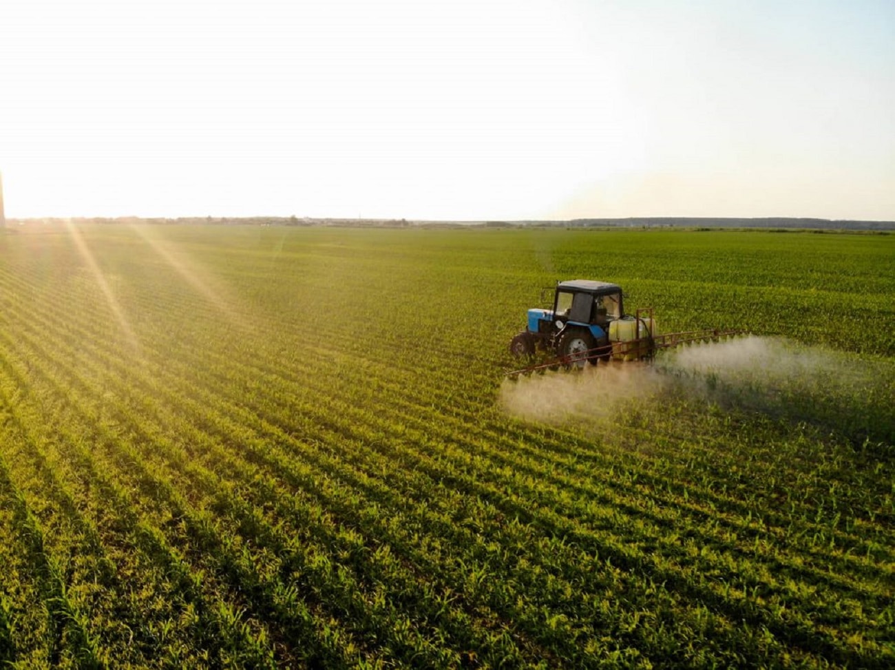 Fórum das Cooperativas vai debater estratégias para setor que reponde por 45,4% da produção agrícola de MT